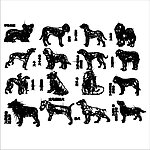 名犬