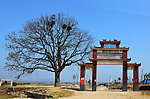 奇树 牌坊