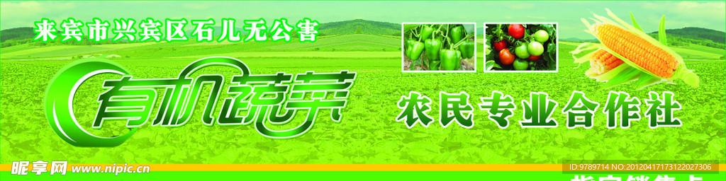 有机蔬菜