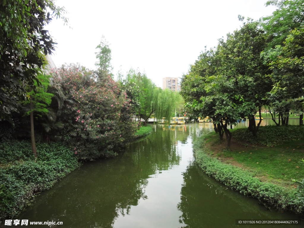 公园绿景