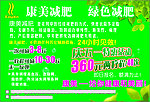 康美绿色减肥
