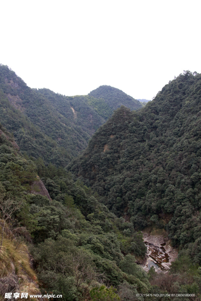 青山