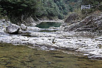 青山
