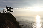 河流