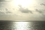 阳光
