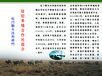 也门勒乡骆驼养殖合作社三折页