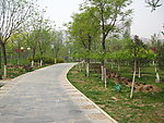 石子小路