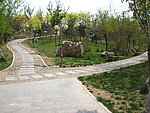 公园春天