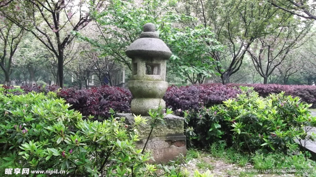 自然风景