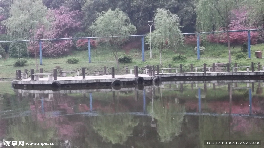 岳塘菊花塘水上风景