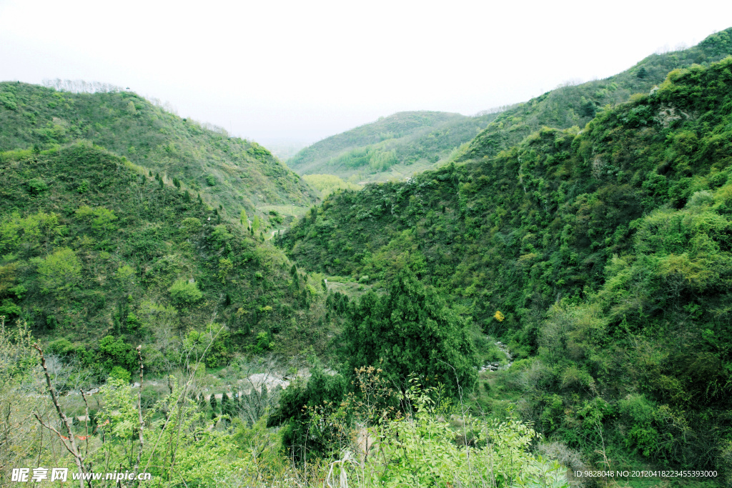 大青山