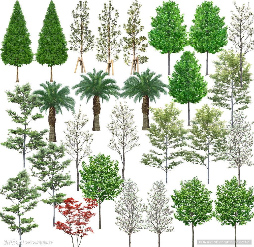 树木植物分层素材PSD