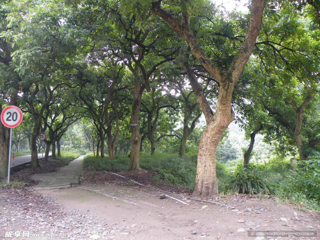 山路