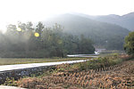 青山