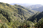 青山
