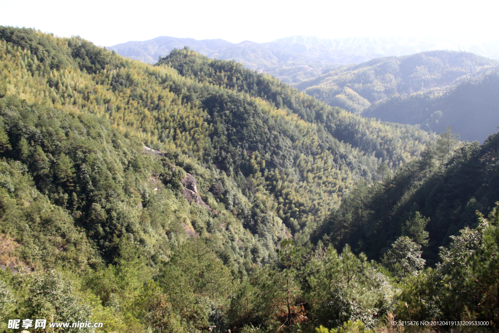 青山