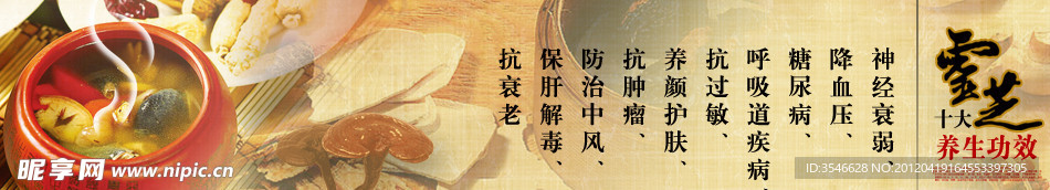 灵芝banner