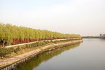 河边风景