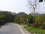 江山如此多娇