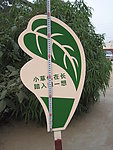 异型牌