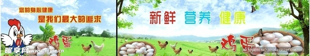 鸡蛋广告 鸡蛋