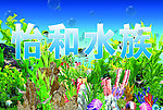 怡和水族广告