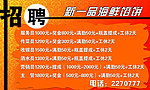 招聘广告