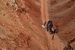 先主山庙会