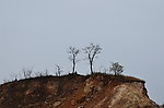 先主山庙会