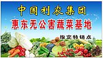 蔬菜基地