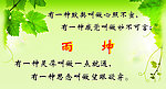 爱情模板