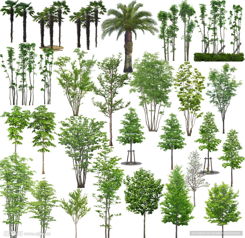 树木植物分层素材PSD