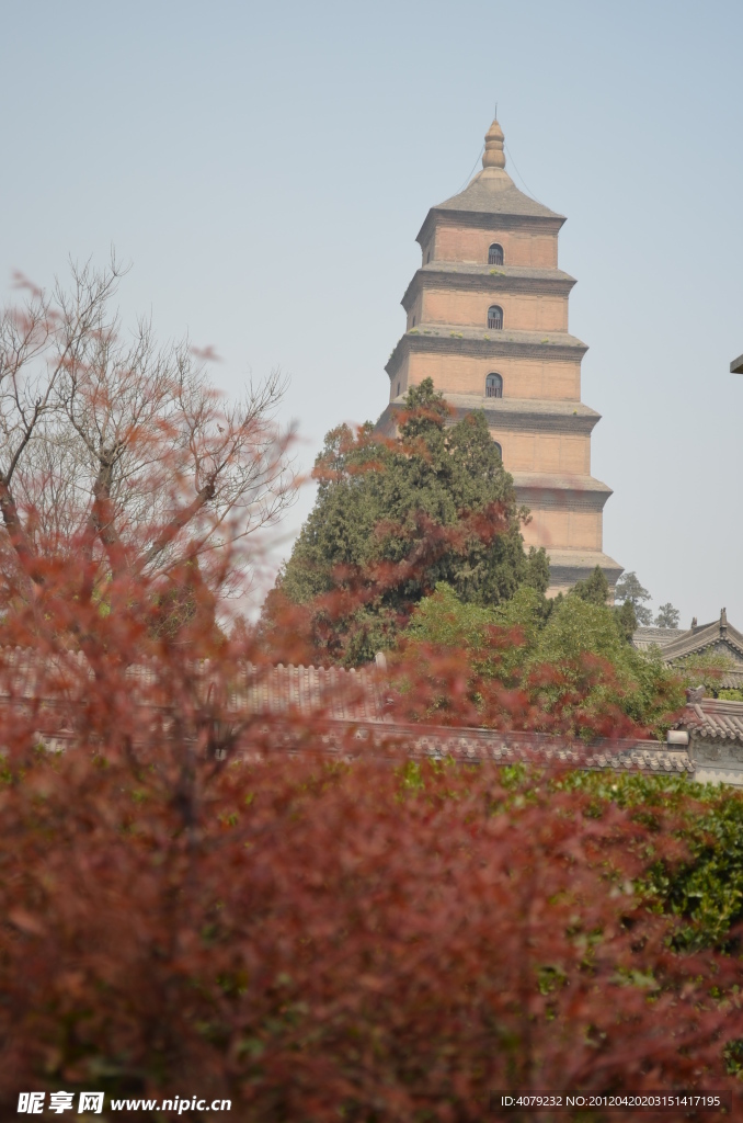 大雁塔远景