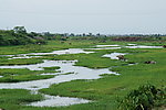 生态湿地田园景观