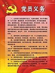 党员义务