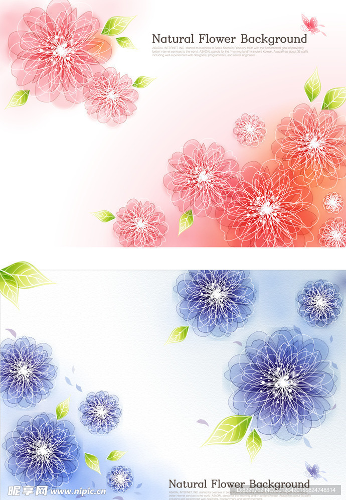 梦幻花纹