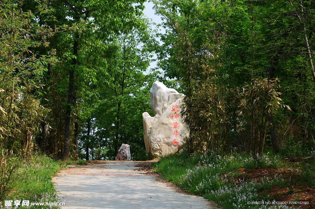 南村的旅游