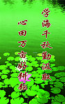 名言展板