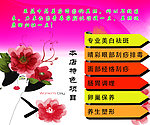 果蔬美容