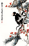 红叶墨猴