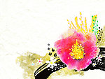 花纹