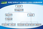 公司机构网络图 流程图