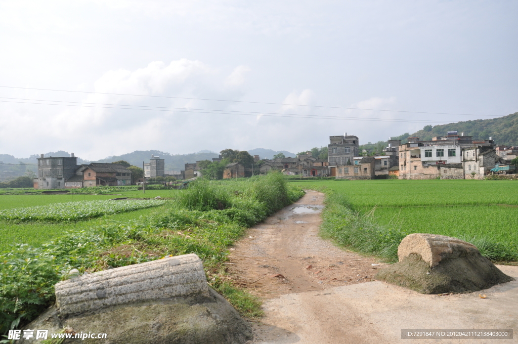 田野的路