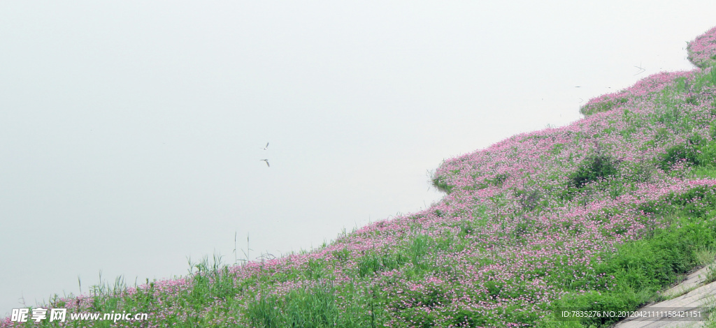 自然风景