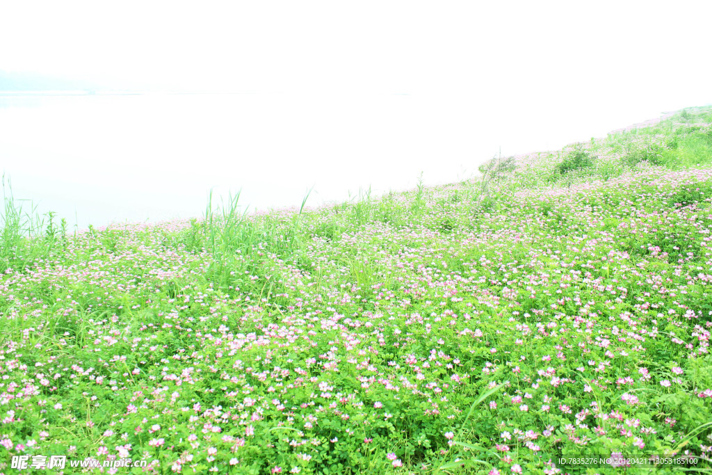 自然风景