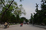 南村的园林
