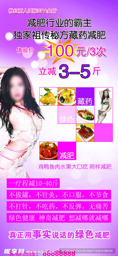 粉红丽人