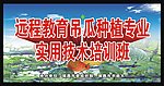 农业背景图