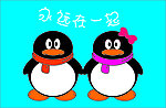 企鹅 QQ企鹅