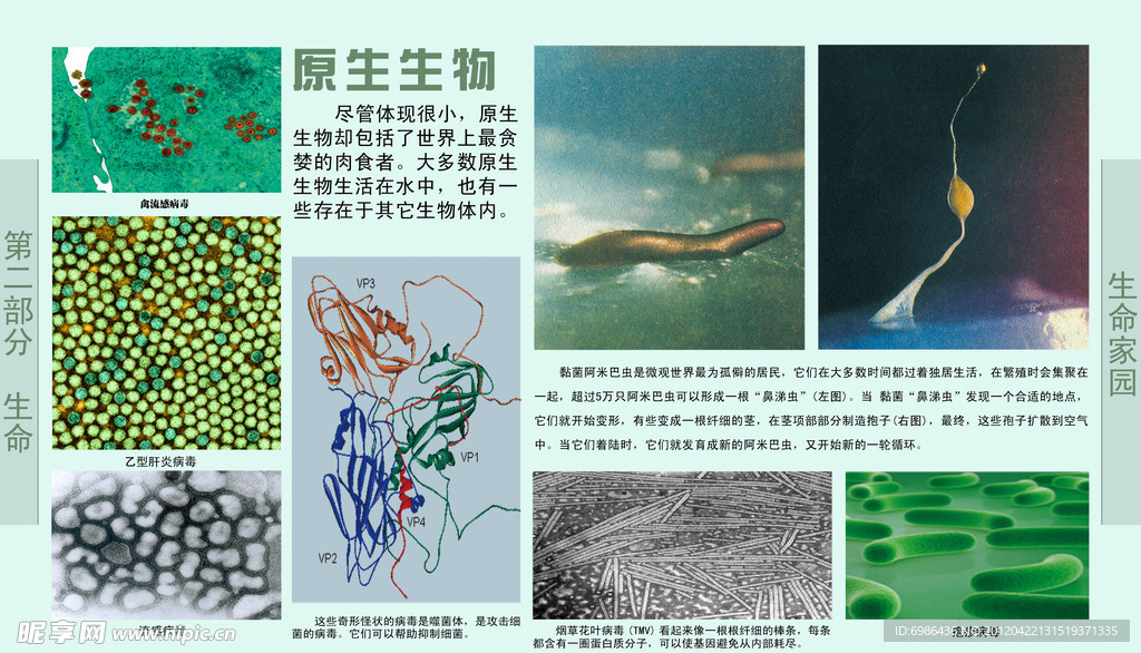 学校展板